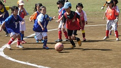 体育の日記念事業ミニサッカー大会（1,2年生の部）4