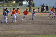 川崎TC_Avs藤沢市TC_002