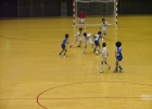 第11回 川崎市フットサル大会（少年・少女の部）